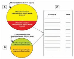 Special Fig3 Special Fig3