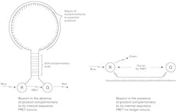 The Primer Fig3 The Primer Fig3