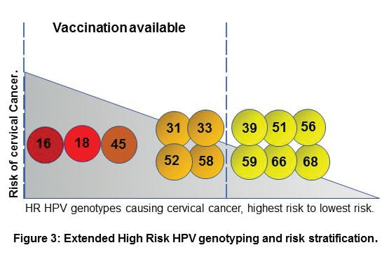 Figure 3. Extended high-risk HPV genotyping and risk stratification.