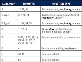 Table 2. Adenovirus subgroups and serotypes