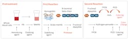 Figure 1. Siemens Healthineers Atellica CH A1c Enzymatic Assay format Figure 1. Siemens Healthineers Atellica CH A1c Enzymatic Assay format