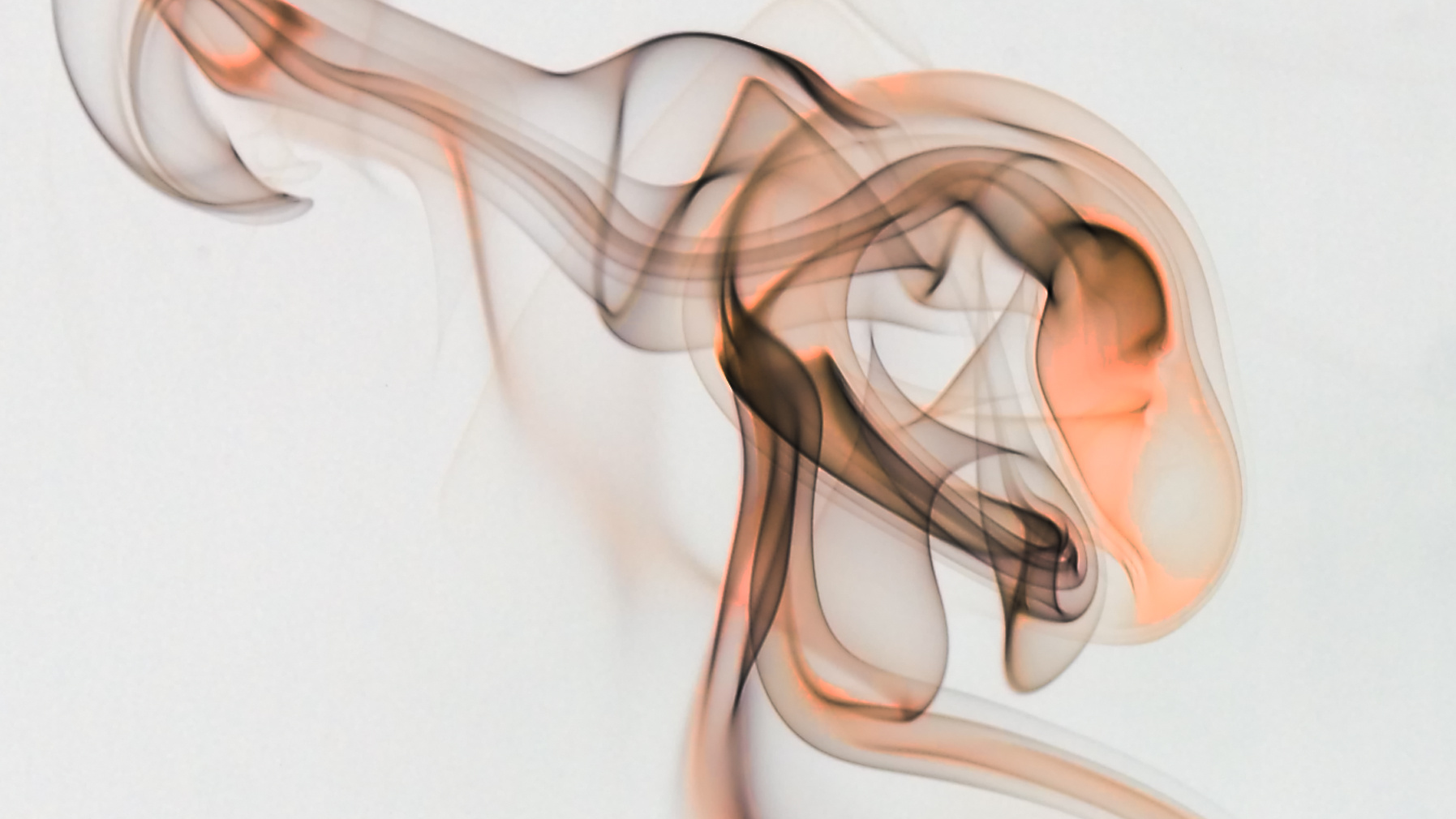 Fotolia 2867734 Dragan Saponjic 5d38548c653d0