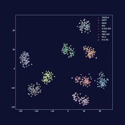 Classification of adherent cell lines in fluorescence microscopy using a neural network classifier. This figure shows clusters of image features (i.e. patterns) detected by the network superimposed with ground-truth knowledge of the nature of cell lines (cell line names shown in legend). The network was trained using a subset of data from the Human Protein Atlas. Classification of adherent cell lines in fluorescence microscopy using a neural network classifier. This figure shows clusters of image features (i.e. patterns) detected by the network superimposed with ground-truth knowledge of the nature of cell lines (cell line names shown in legend). The network was trained using a subset of data from the Human Protein Atlas.