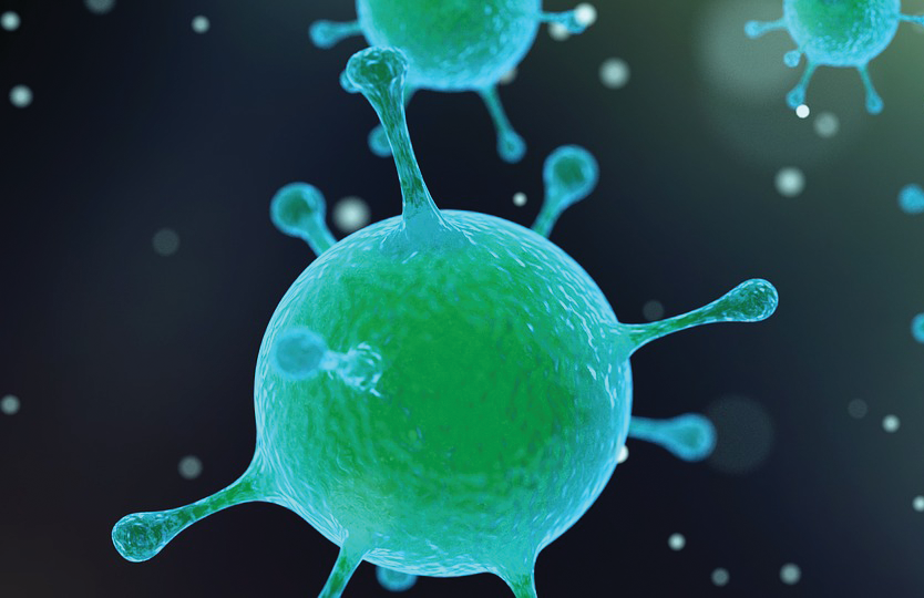 Possible Intro Artcrop