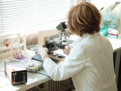 Lassa Virus Article 5d554efe75f5f Lassa Virus Article 5d554efe75f5f