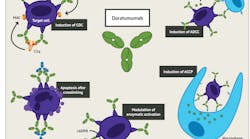 Figure 2. The various immune mechanisms of the anti-tumor activity of Daratumumab6
