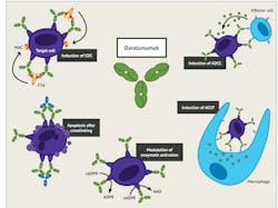 Figure 2. The various immune mechanisms of the anti-tumor activity of Daratumumab6 Figure 2. The various immune mechanisms of the anti-tumor activity of Daratumumab6