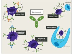 Figure 2. The various immune mechanisms of the anti-tumor activity of Daratumumab6 Figure 2. The various immune mechanisms of the anti-tumor activity of Daratumumab6