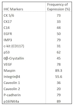 Table 2. Immunohistochemical markers in basal-like breast cancer and their frequency of expression.15 Table 2. Immunohistochemical markers in basal-like breast cancer and their frequency of expression.15