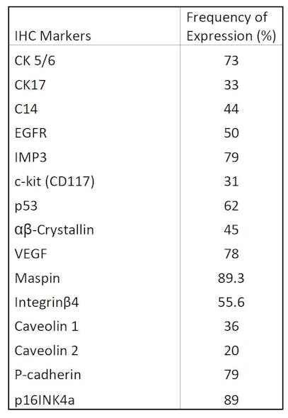 Table 2. Immunohistochemical markers in basal-like breast cancer and their frequency of expression.15
