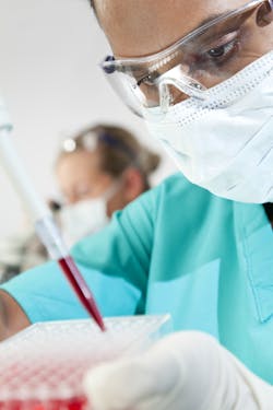 Dreamstime Xl 10605278 5d83e51131260 Dreamstime Xl 10605278 5d83e51131260