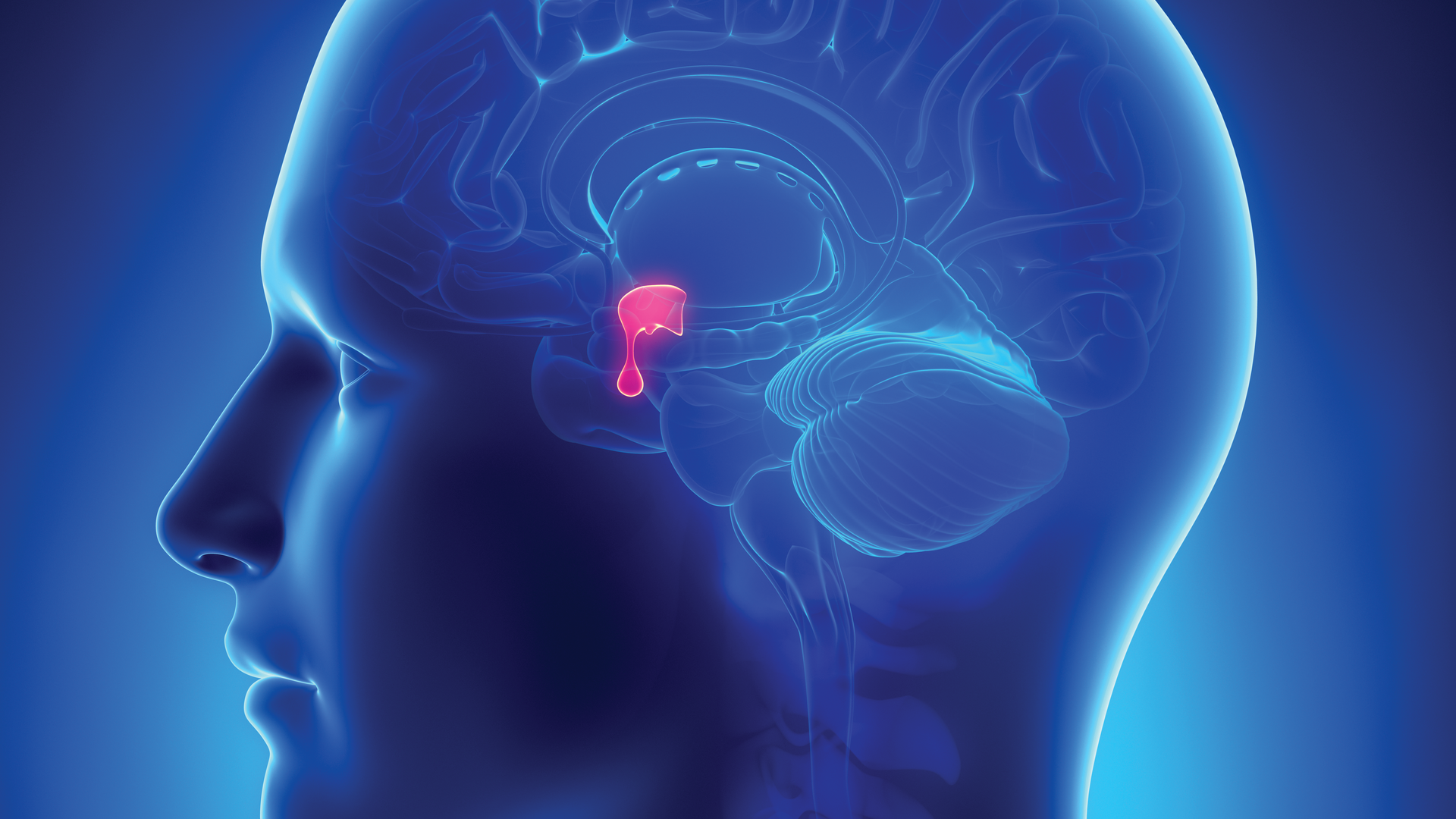 Adobe Stock 41785343