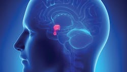 Adobe Stock 41785343 5da7613dee3ed Adobe Stock 41785343 5da7613dee3ed