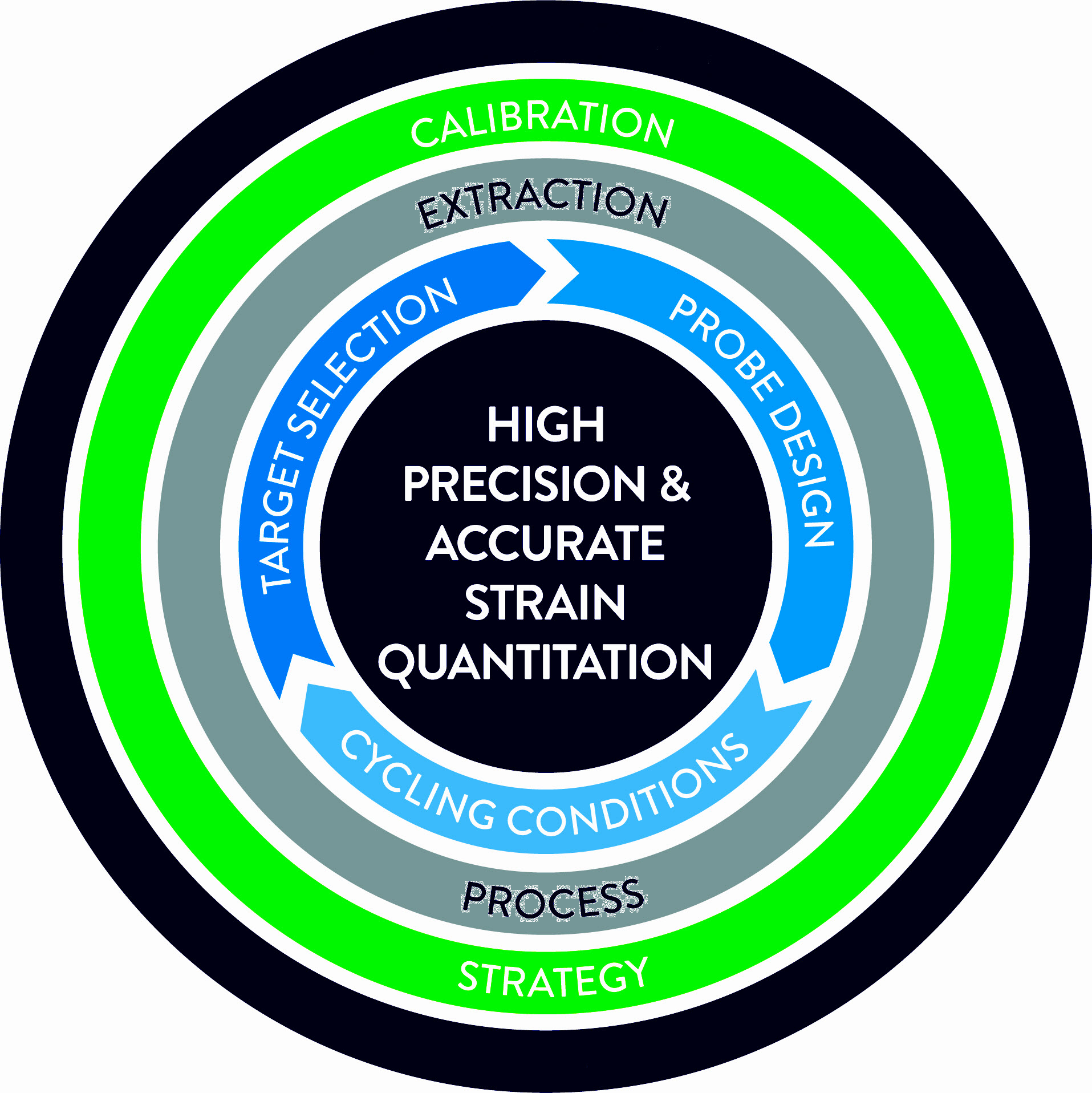 Figure 1. Molecular assay design approach