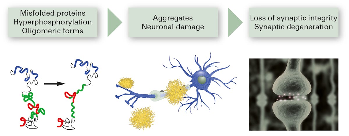 Figure 1. Representation of the neurodegeneration process