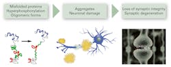 Figure 1. Representation of the neurodegeneration process Figure 1. Representation of the neurodegeneration process