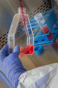 23211 5e46ae2e4f3c2 23211 5e46ae2e4f3c2