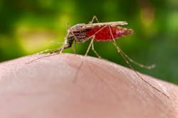 Cdc Malaria 18762 5e4d40f141ce4 Cdc Malaria 18762 5e4d40f141ce4