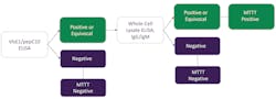 Figure 3. The Borrelia MTTT-1 concept submitted to FDA included screening patients’ sera on the VlsE1/pepC10 IgG/IgM ELISA and reflexing those specimens that were positive or equivocal to a second ELISA; an ELISA test comprised of Borrelia burgdorferi whole cell lysate antigen and an IgG/IgM conjugate. Figure 3. The Borrelia MTTT-1 concept submitted to FDA included screening patients’ sera on the VlsE1/pepC10 IgG/IgM ELISA and reflexing those specimens that were positive or equivocal to a second ELISA; an ELISA test comprised of Borrelia burgdorferi whole cell lysate antigen and an IgG/IgM conjugate.