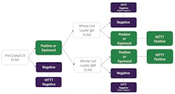 Figure 4. The Borrelia MTTT-2 concept submitted to FDA included screening patients’ sera on the VlsE1/pepC10 IgG/IgM ELISA and reflexing those specimens that were positive or equivocal to two separate second-tier ELISA tests. One ELISA test comprised of Borrelia burgdorferi whole cell lysate antigen designed to measure IgG class antibody and a second ELISA test comprised of Borrelia burgdorferi whole cell lysate antigen designed to measure IgM class antibody. Figure 4. The Borrelia MTTT-2 concept submitted to FDA included screening patients’ sera on the VlsE1/pepC10 IgG/IgM ELISA and reflexing those specimens that were positive or equivocal to two separate second-tier ELISA tests. One ELISA test comprised of Borrelia burgdorferi whole cell lysate antigen designed to measure IgG class antibody and a second ELISA test comprised of Borrelia burgdorferi whole cell lysate antigen designed to measure IgM class antibody.