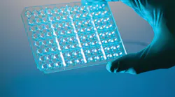A 96-well plate for PCR processing in a microbiology lab