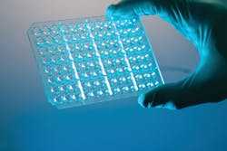A 96-well plate for PCR processing in a microbiology lab A 96-well plate for PCR processing in a microbiology lab