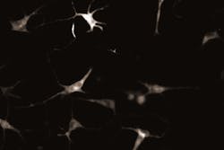 Jcb Revised 5e4d3b7865bcb Jcb Revised 5e4d3b7865bcb