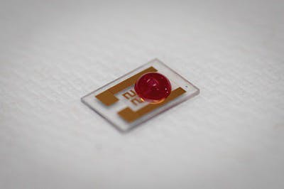 A single drop of blood sits on the cancer-detecting chip developed.