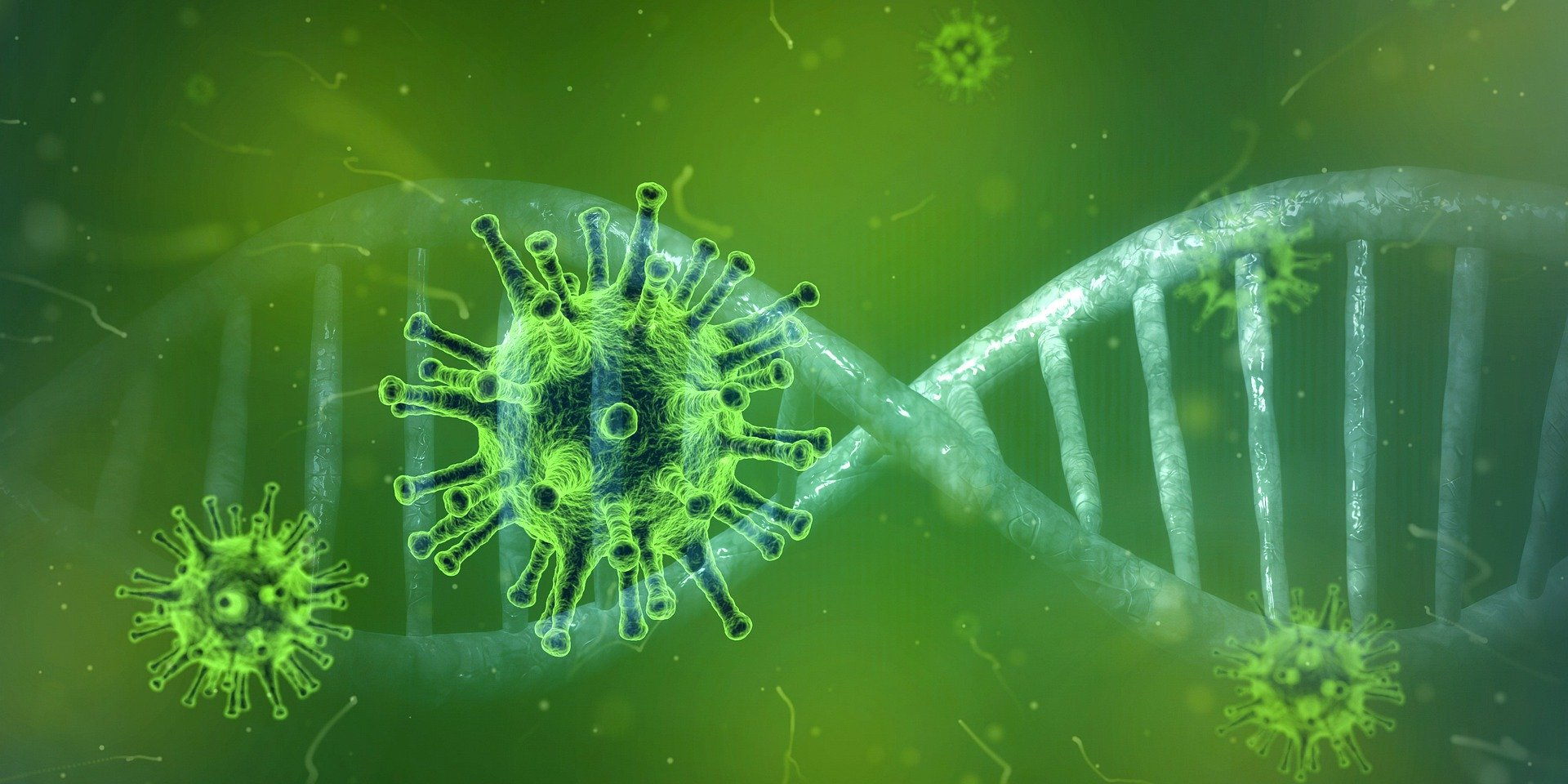 Coronavirus 4833754 1920 5e440b1739c90