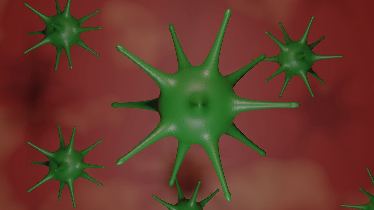 Virus 4809549 1280 1 5e46aed072c43