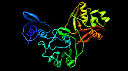 Corona Virus Image Nw 16x9