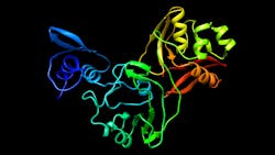 Corona Virus Image Nw 16x9 5e62c63767a1b Corona Virus Image Nw 16x9 5e62c63767a1b