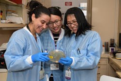 Nicole Cook,Tsering Yangtzom,Tania Li Microbiology Technologists Nicole Cook,Tsering Yangtzom,Tania Li Microbiology Technologists