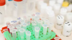 Pexels Test Tubes In Laboratory 3735739