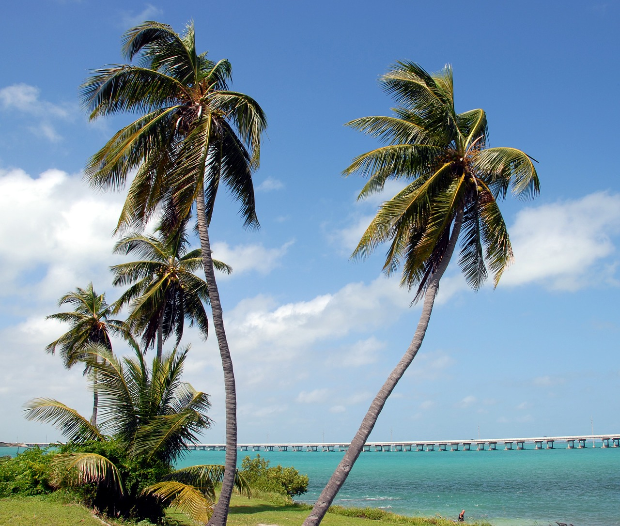 Pixabay Florida Bahia Honda 1548330 1280 5e722c26ef6ee