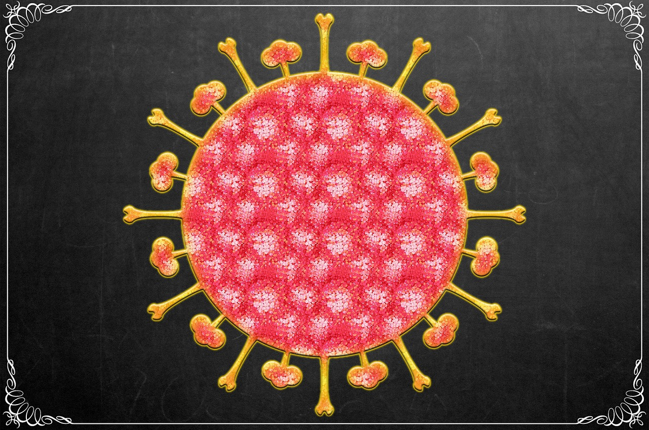 Pixabay Coronavirus 4882294 1280 5e611c6158a93