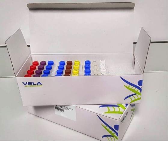 Vela Diag April Sentosa Sqhiv 1 5e7a5bc65982b