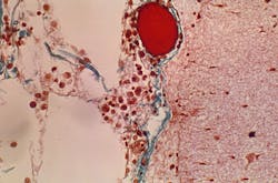 22348 5e9f074ade904 22348 5e9f074ade904