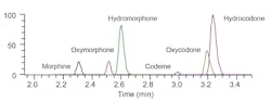 Figure 2. Chromatograms extracted from MS2 spectra obtained from a confirmation PRM experiment for six opiates at their respective LOQs (2.5 ng/mL for codeine, oxycodone and oxymorphone, and 5 ng/mL for hydrocodone, hydromorphone, and morphine) in hydrolyzed and diluted urine. Figure 2. Chromatograms extracted from MS2 spectra obtained from a confirmation PRM experiment for six opiates at their respective LOQs (2.5 ng/mL for codeine, oxycodone and oxymorphone, and 5 ng/mL for hydrocodone, hydromorphone, and morphine) in hydrolyzed and diluted urine.