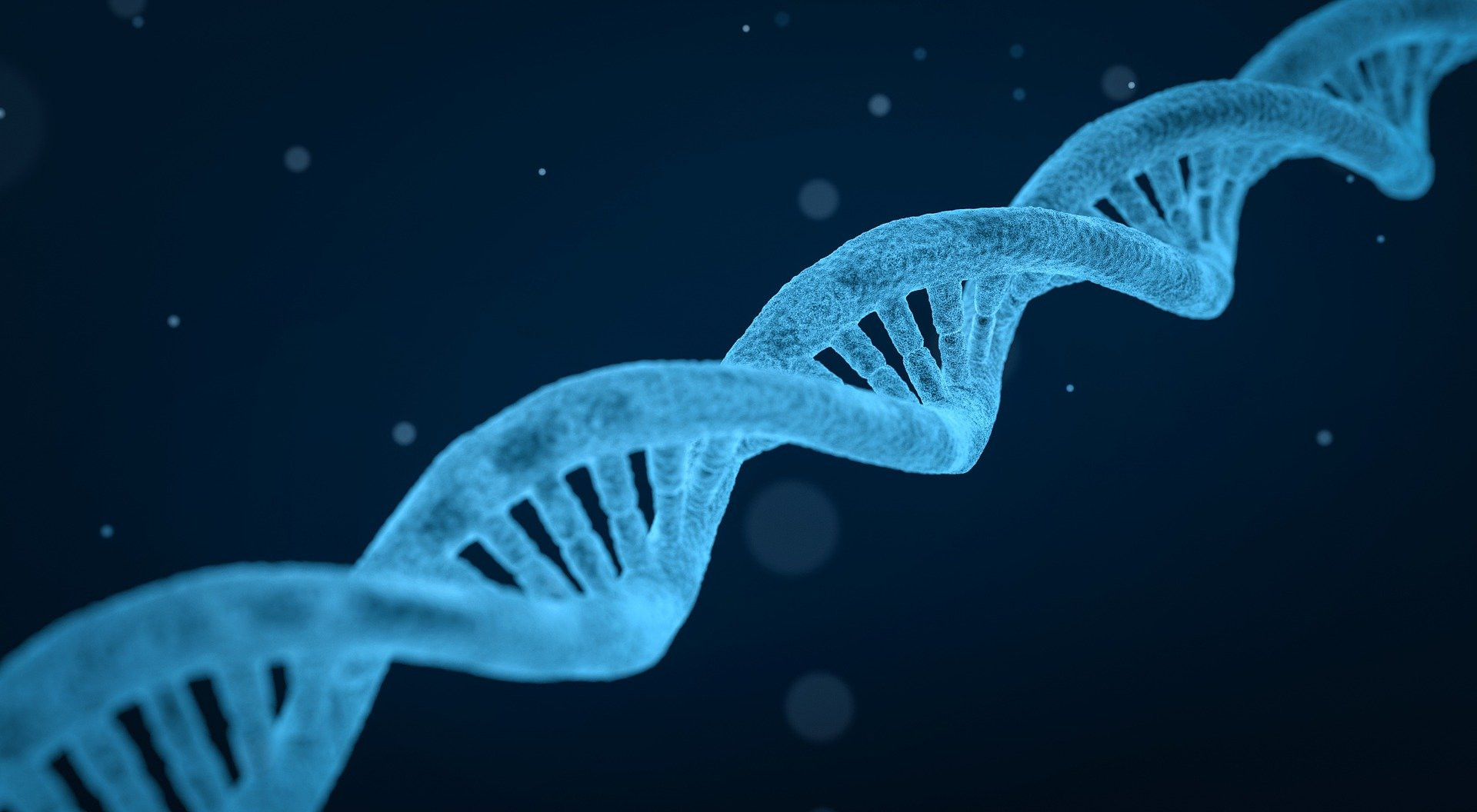 Pixabay Dna 3656587 1920 5e85f23885e98