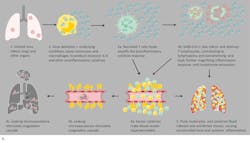 Figure 2a and 2b. When infection occurs, the immune system responds by releasing dozens of pro- and anti-inflammatory cytokines. Interleukin -6 (IL-6) is hypothesized to be a key component of the cytokine response. The sequences are highly simplified overviews illustrating the normal cytokine response to viral infection (a), and the dysregulated immune response resulting in CSS (b).6-8, 25 Figure 2a and 2b. When infection occurs, the immune system responds by releasing dozens of pro- and anti-inflammatory cytokines. Interleukin -6 (IL-6) is hypothesized to be a key component of the cytokine response. The sequences are highly simplified overviews illustrating the normal cytokine response to viral infection (a), and the dysregulated immune response resulting in CSS (b).6-8, 25