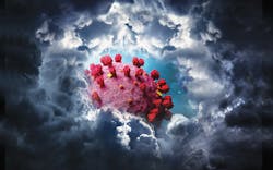 Mlo202006 Ce Story Mainimage 5ecd03747d810 Mlo202006 Ce Story Mainimage 5ecd03747d810