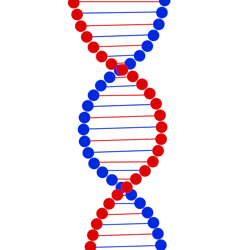 Needpix Dna 2230030 1280 5eb95ce17df38 Needpix Dna 2230030 1280 5eb95ce17df38