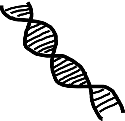 Pixabay Black And White Dna 312438 1280 5eb4141e95b07 Pixabay Black And White Dna 312438 1280 5eb4141e95b07