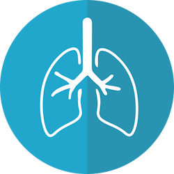 Pixabay Lungs 2803208 1280 5eb415f091cbd Pixabay Lungs 2803208 1280 5eb415f091cbd