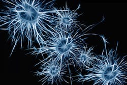 Pixabay Neurons 1773922 1280 5ebbfe1e0fc20 Pixabay Neurons 1773922 1280 5ebbfe1e0fc20