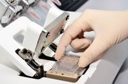 Epredia 5 Labsat Research 5efb35da6360b Epredia 5 Labsat Research 5efb35da6360b