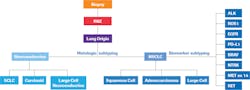 Figure 1. Diagnosis and subtyping of lung cancer Figure 1. Diagnosis and subtyping of lung cancer