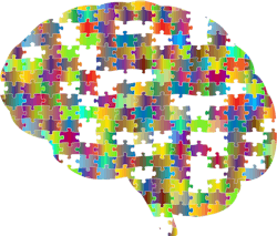 Pixabay Brain 2750453 1280 5ed7aa2e680c1 Pixabay Brain 2750453 1280 5ed7aa2e680c1