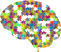 Pixabay Brain 2750453 1280 5ed7aa2e680c1 Pixabay Brain 2750453 1280 5ed7aa2e680c1